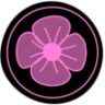 A1 Russian Spa Delhi Logo